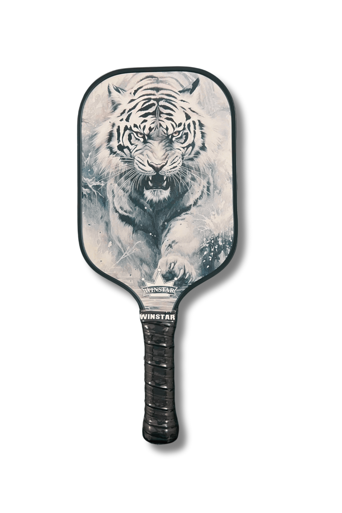VỢT CẶP PICKLEBALL WINSTAR FIBER CARBON